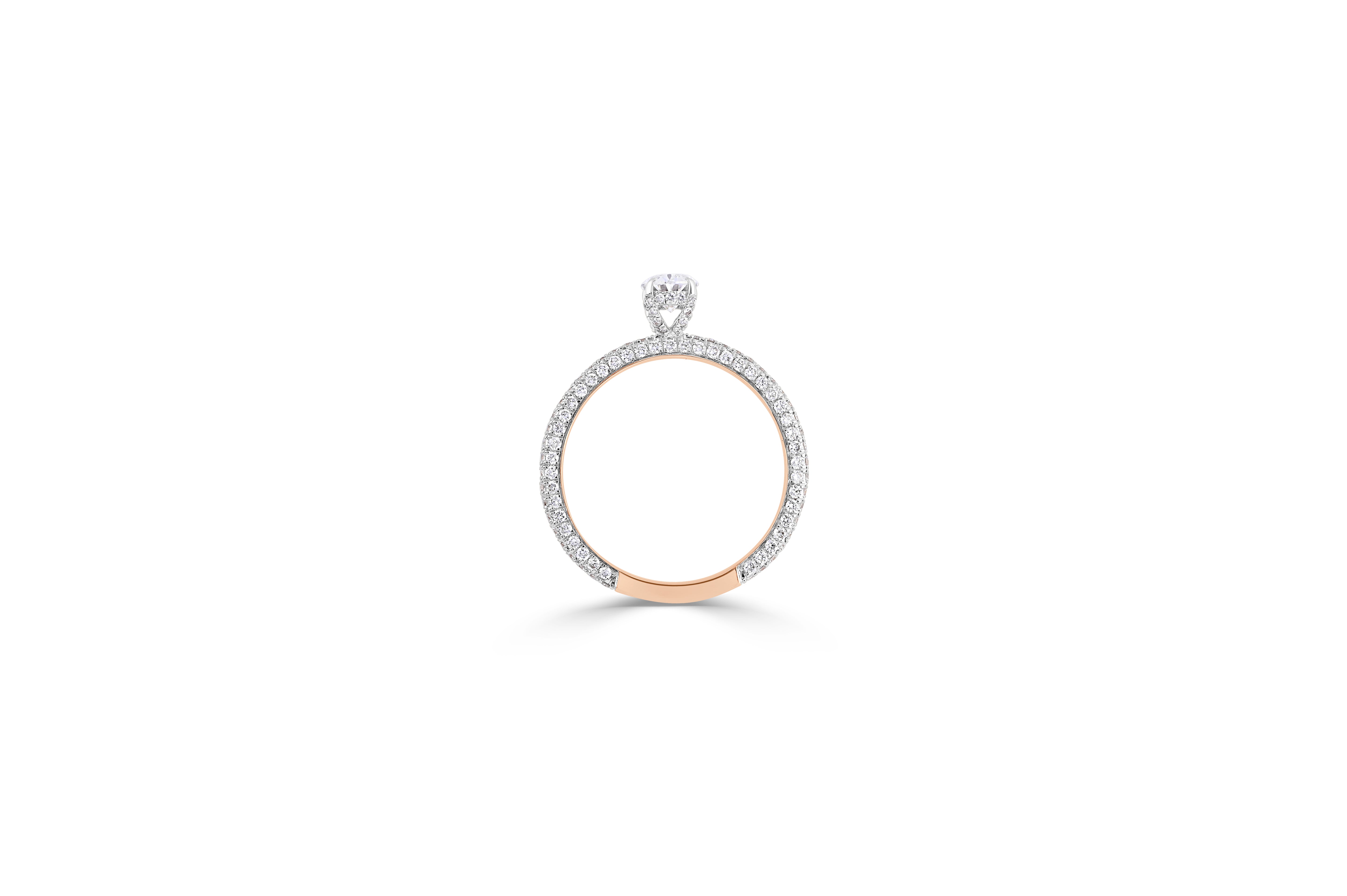 Sucheta Ring