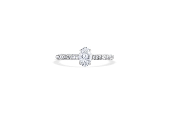Sucheta Ring