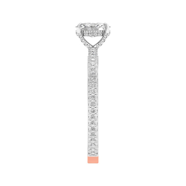 Sucheta Ring